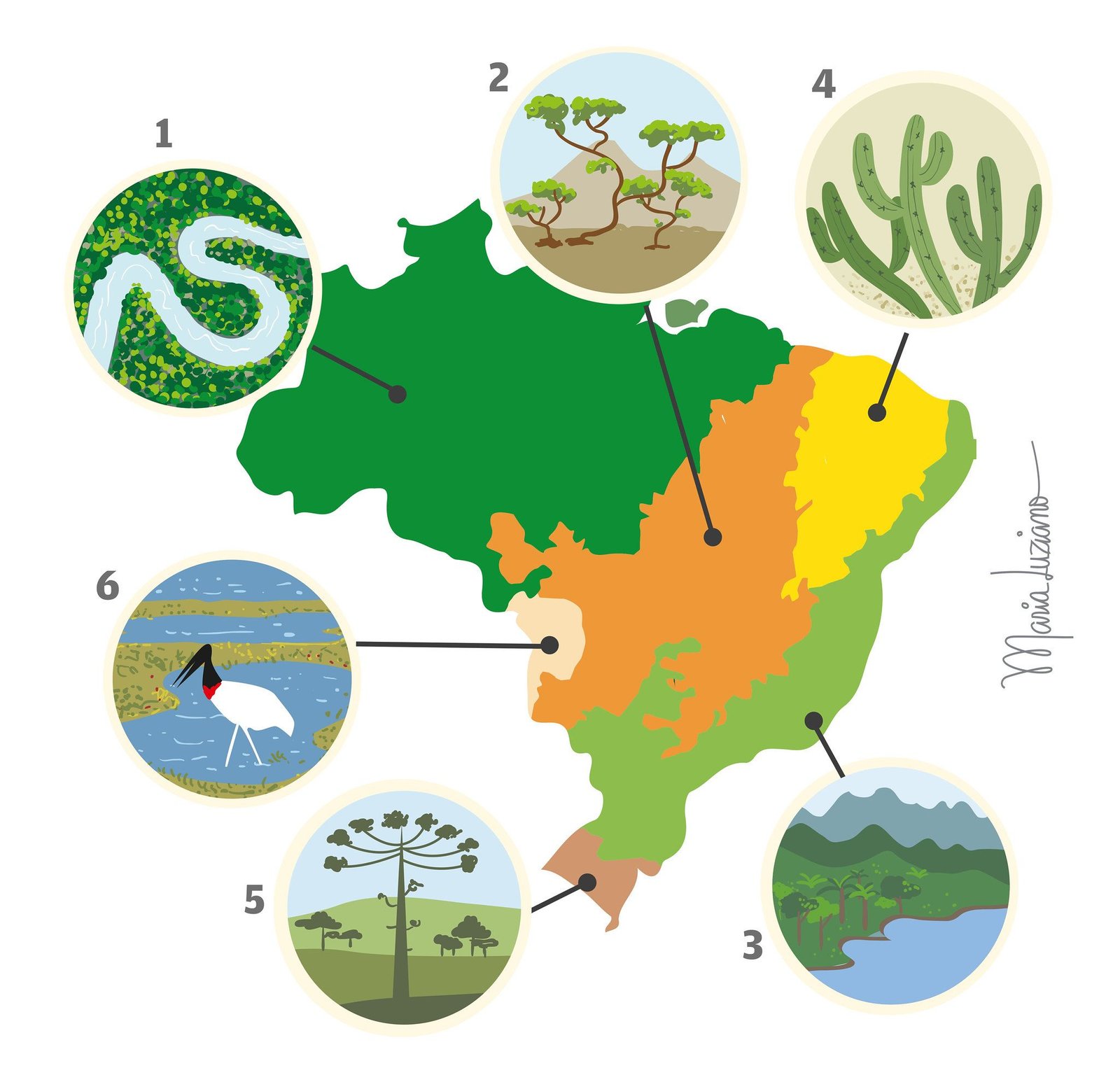 Mapa dos biomas brasileiros