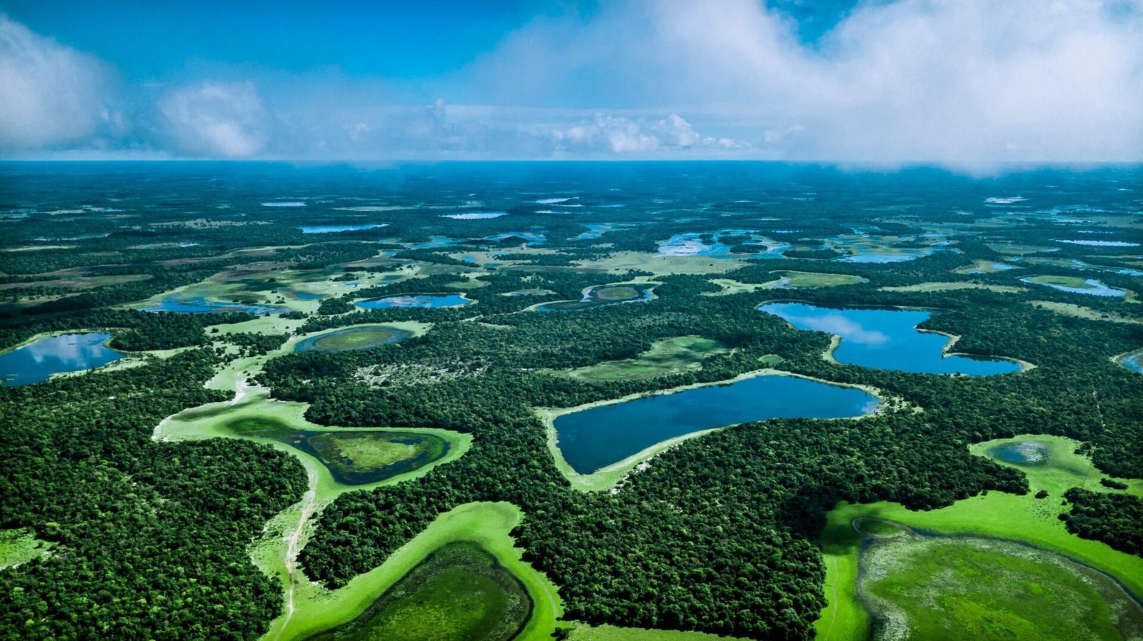 Paisagem do bioma Pantanal